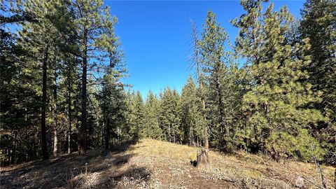 142 Red Pine Court Winthrop WA 98862