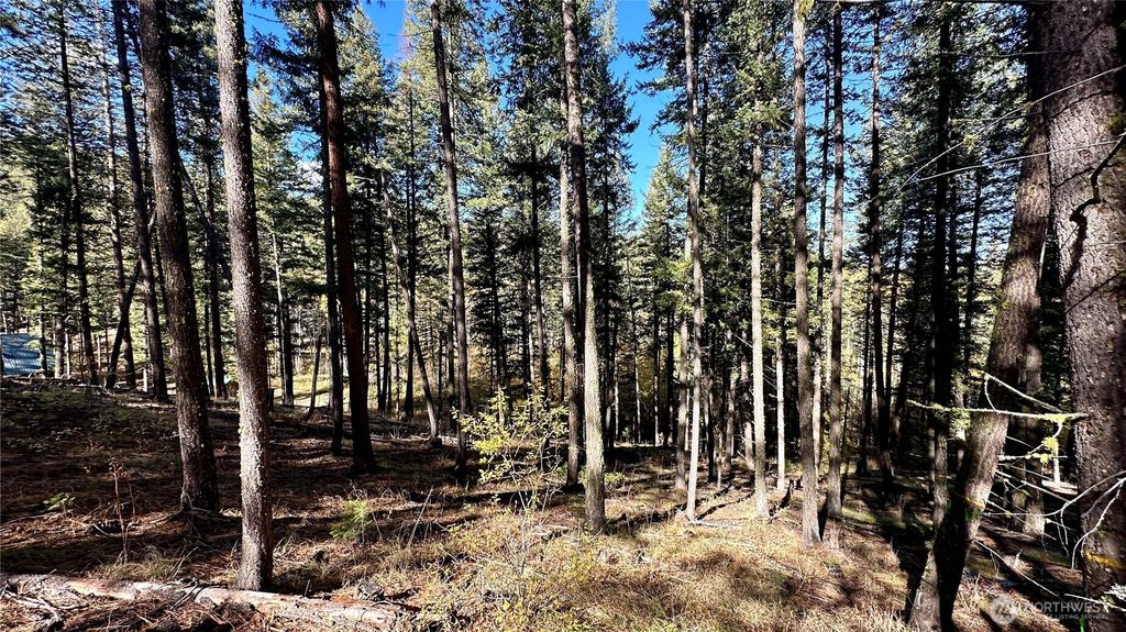 Photo of 142 C Red Pine Court, Winthrop, WA 98862 (MLS # 2505927)