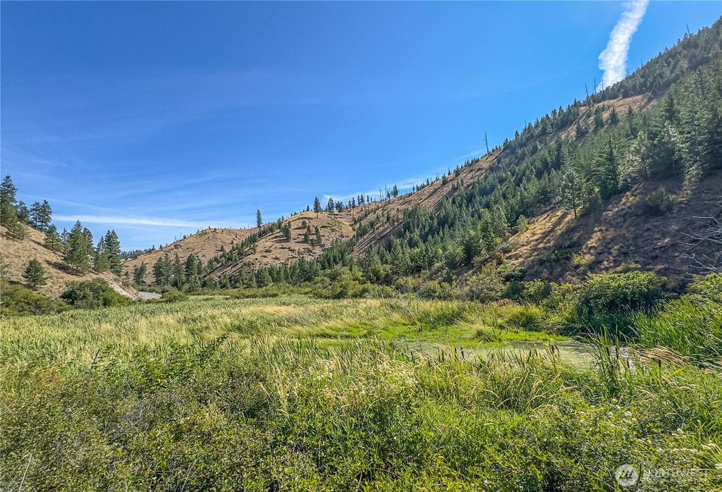 Photo of 10558 Mud Creek Road, Entiat, WA 98822 (MLS # 2499563)