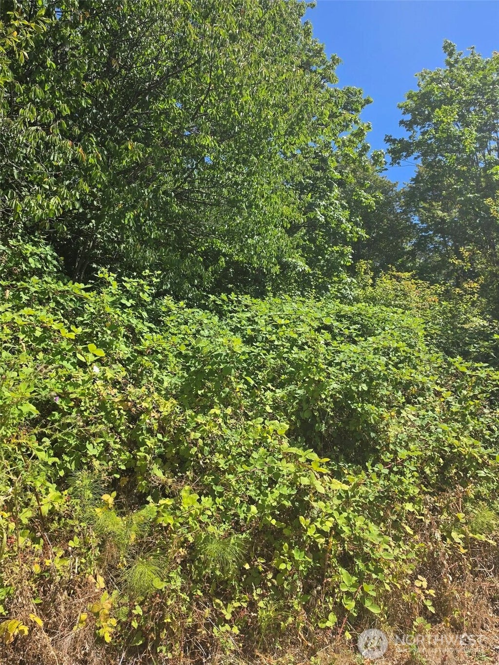 Photo of 250 X Callow Road, Lake Stevens, WA 98258 (MLS # 2578748)