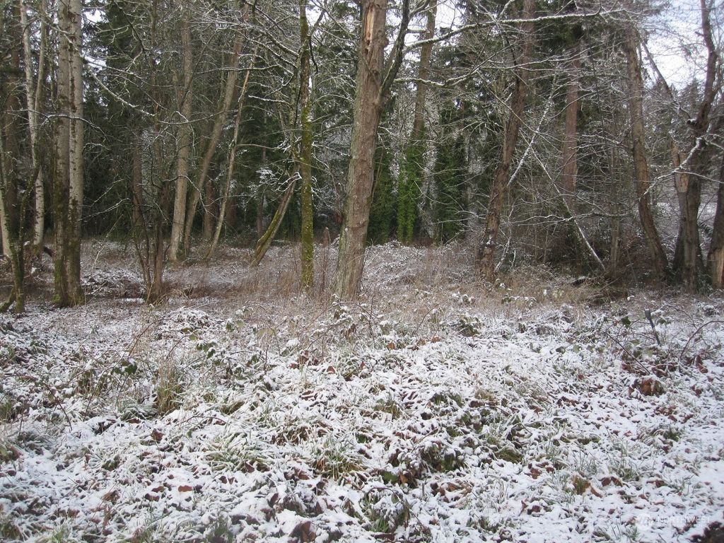 Photo of 5490 S 368th Street, Auburn, WA 98001 (MLS # 2329168)