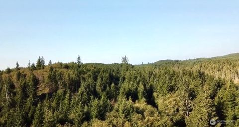 Photo of 0 Highway 101, Seaview, WA 98644 (MLS # 2436990)