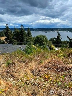 1664 SOUND RIDGE DR, BREMERTON, WA 98312 - Image 4485e62a961a7d16a5caf7bf7b42fa39/4136541745