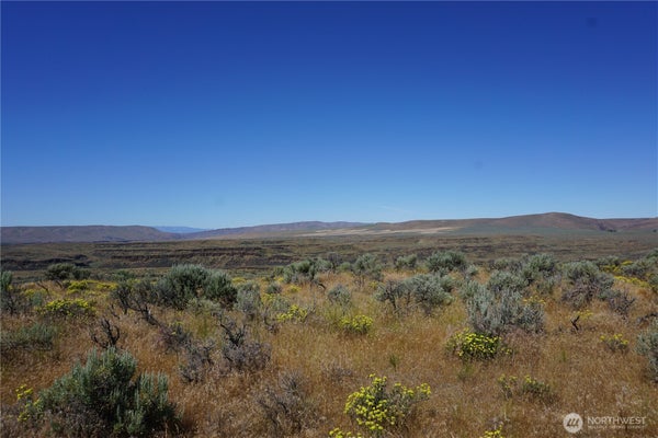 APPALOOSA WAY, EPHRATA, WA 98823 - Image 4487a9350e55cd0dd6d2a8ede2f44ebc/714555209