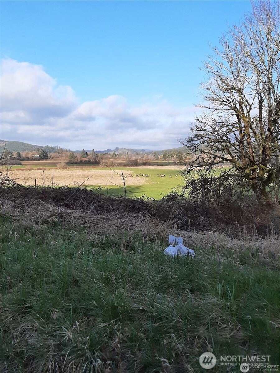 Photo of 0 State Hwy 6, Raymond, WA 98577 (MLS # 2586915)