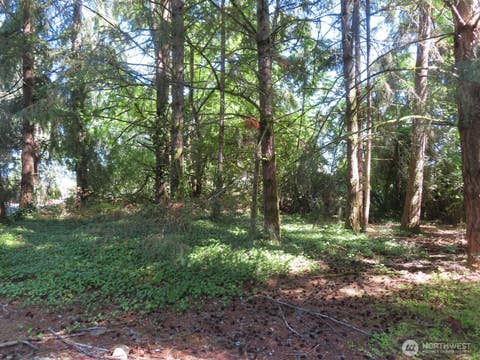 Photo of 8021 Afflerbaugh Court SE, Lacey, WA 98503 (MLS # 2573827)