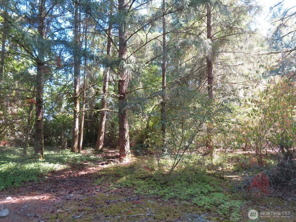 Photo of 8021 Afflerbaugh Court SE, Lacey, WA 98503 (MLS # 2573827)