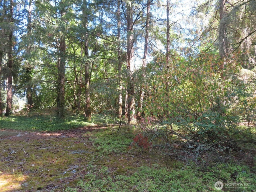 Photo of 8021 Afflerbaugh Court SE, Lacey, WA 98503 (MLS # 2573827)