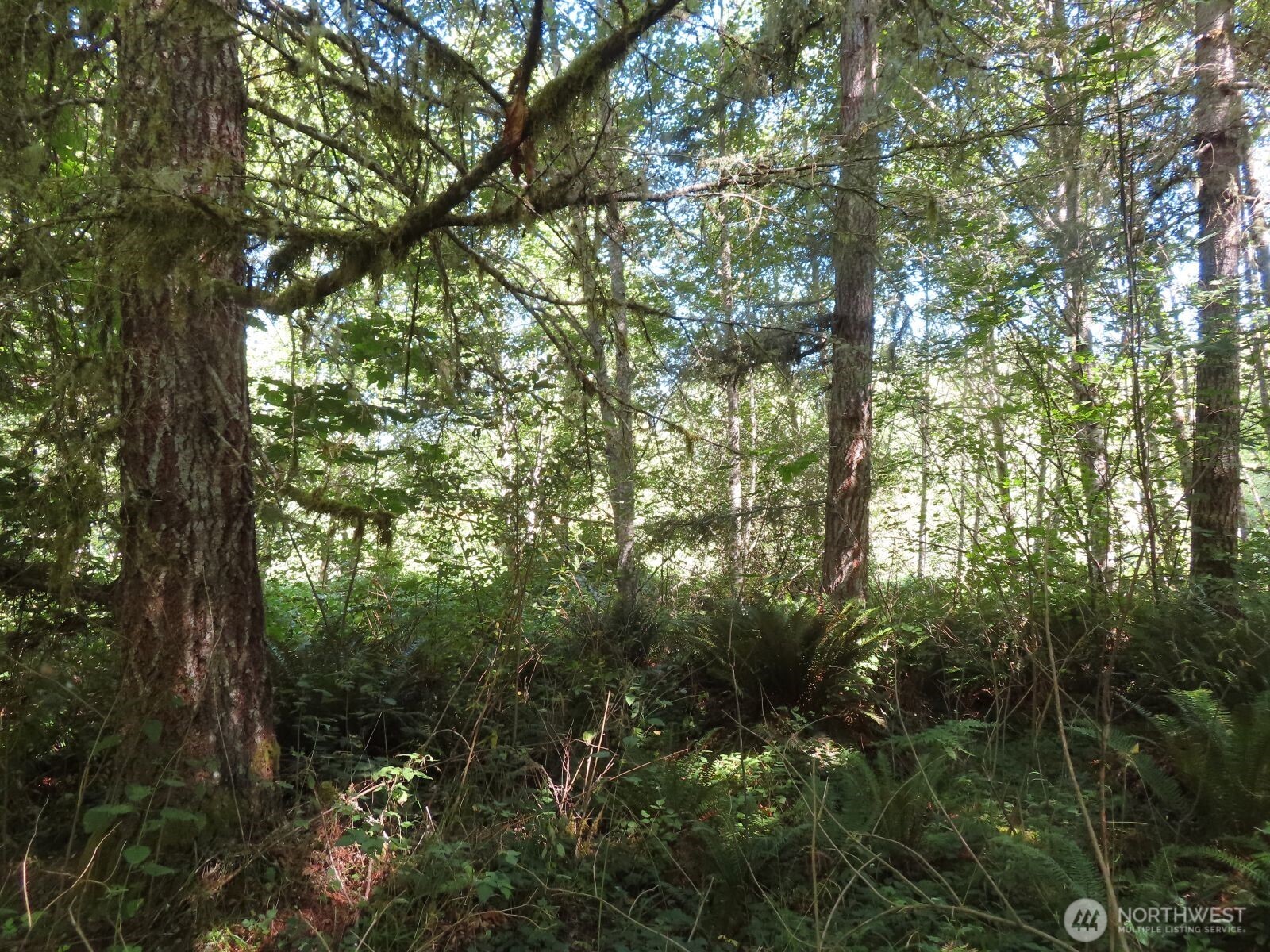 0 Salmon Creek Road