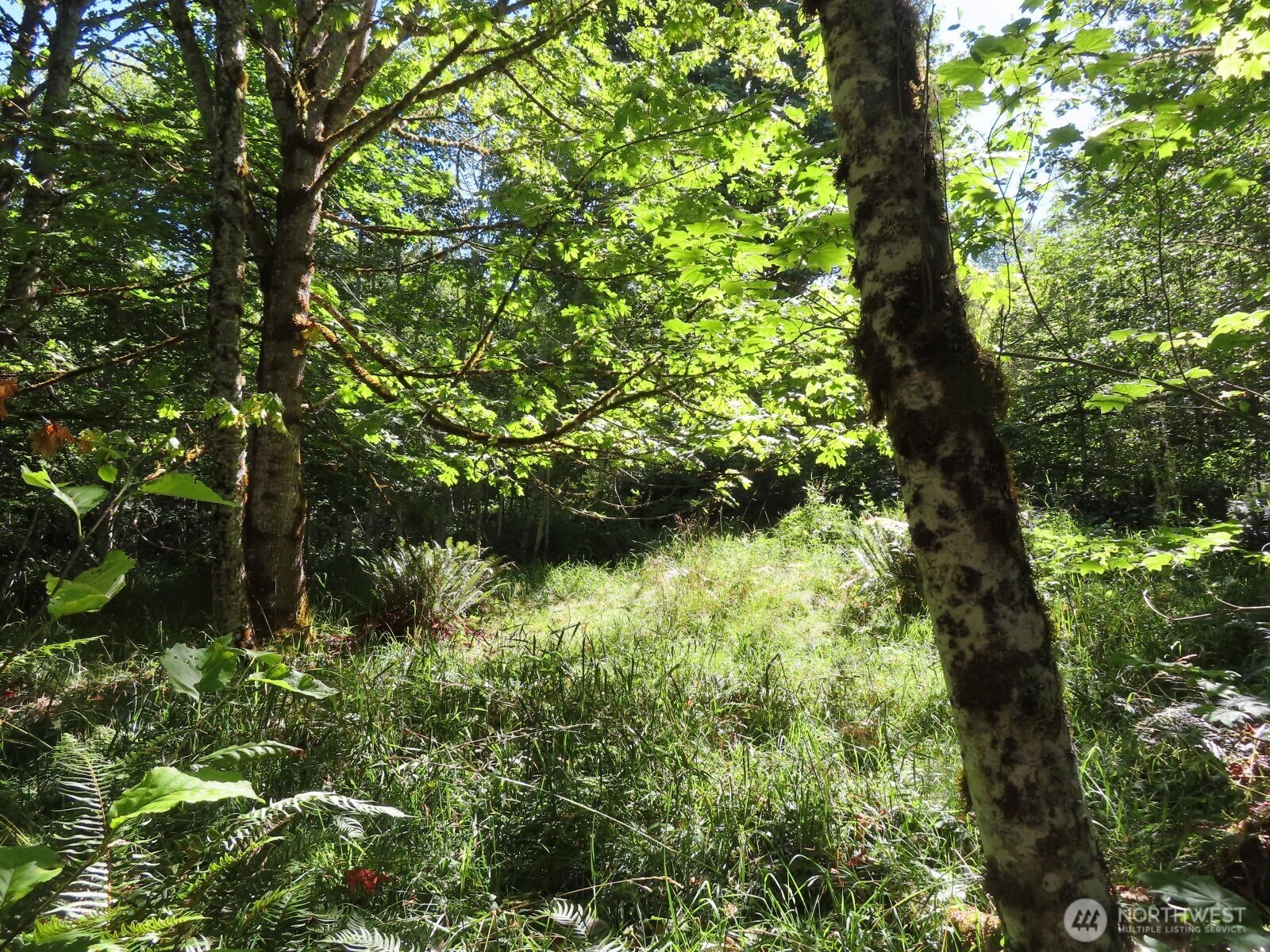 0 Salmon Creek Road