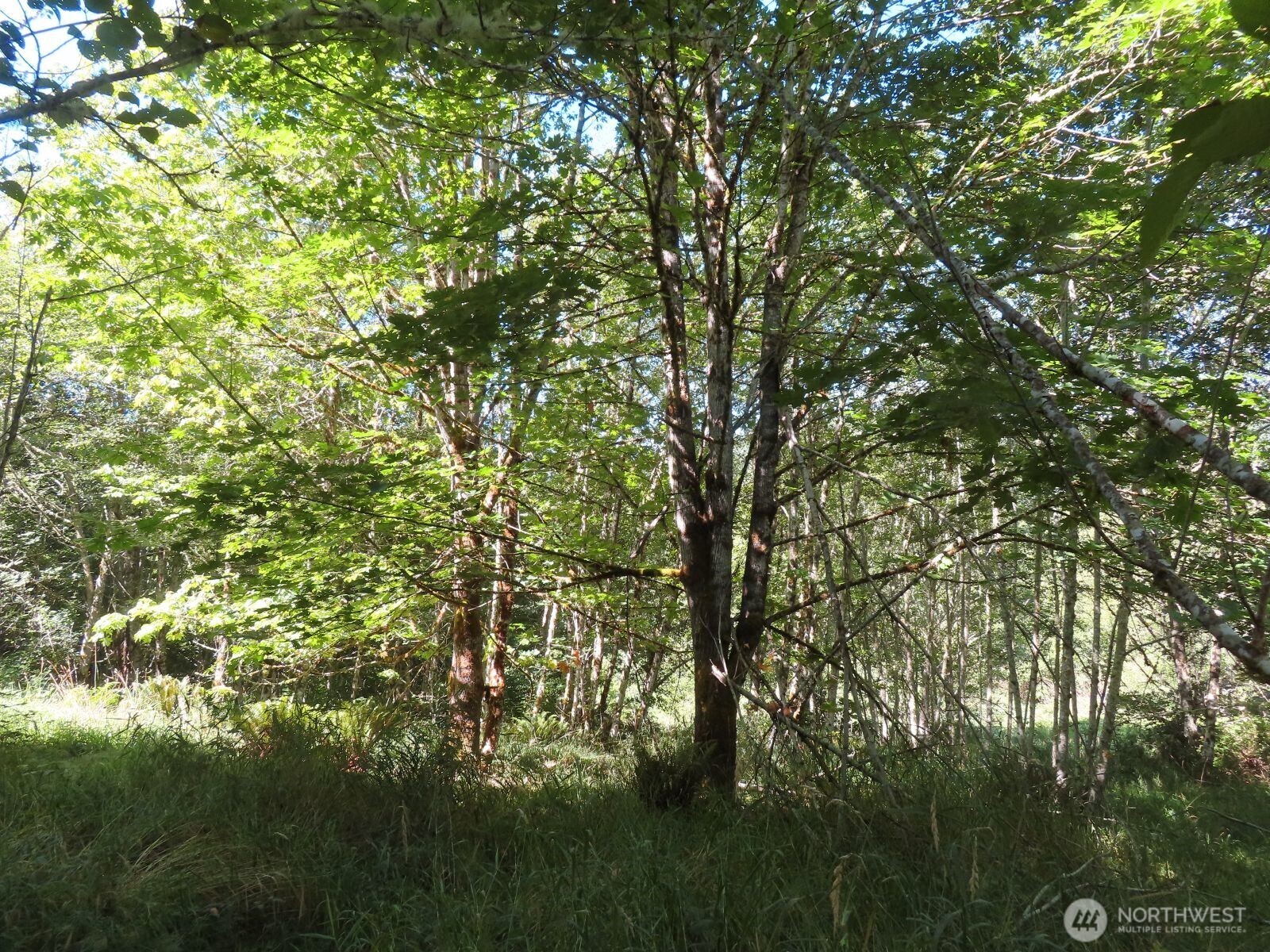 0 Salmon Creek Road