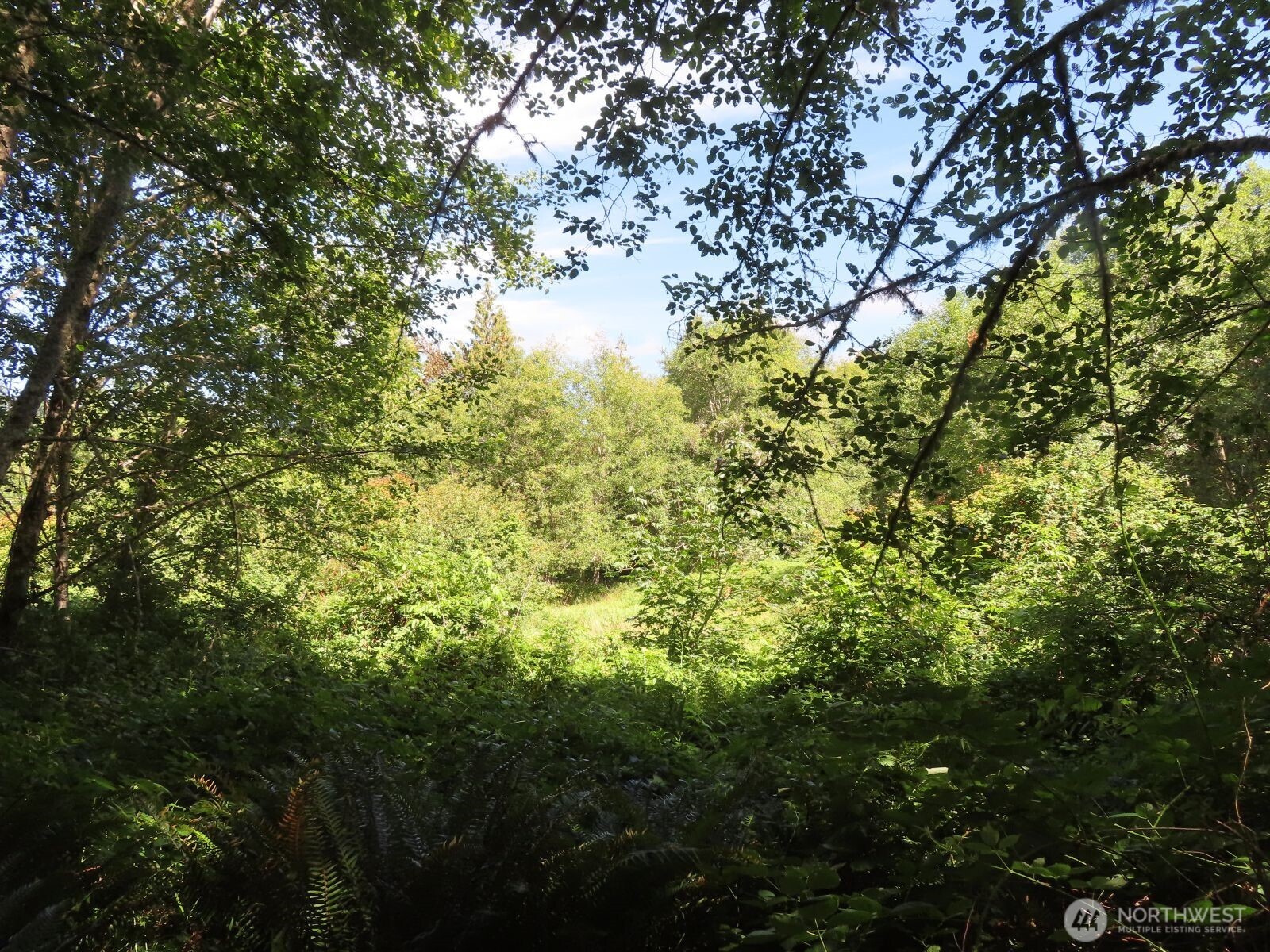 0 Salmon Creek Road