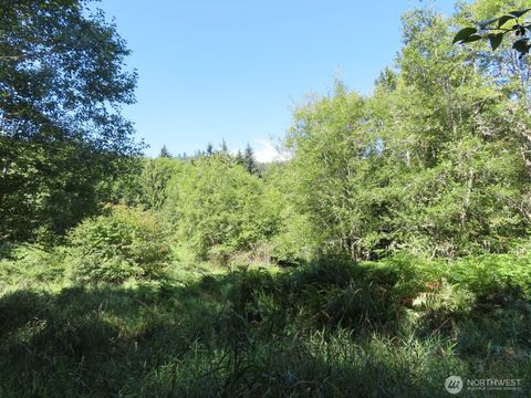 0 Salmon Creek Road Mossyrock WA 98564