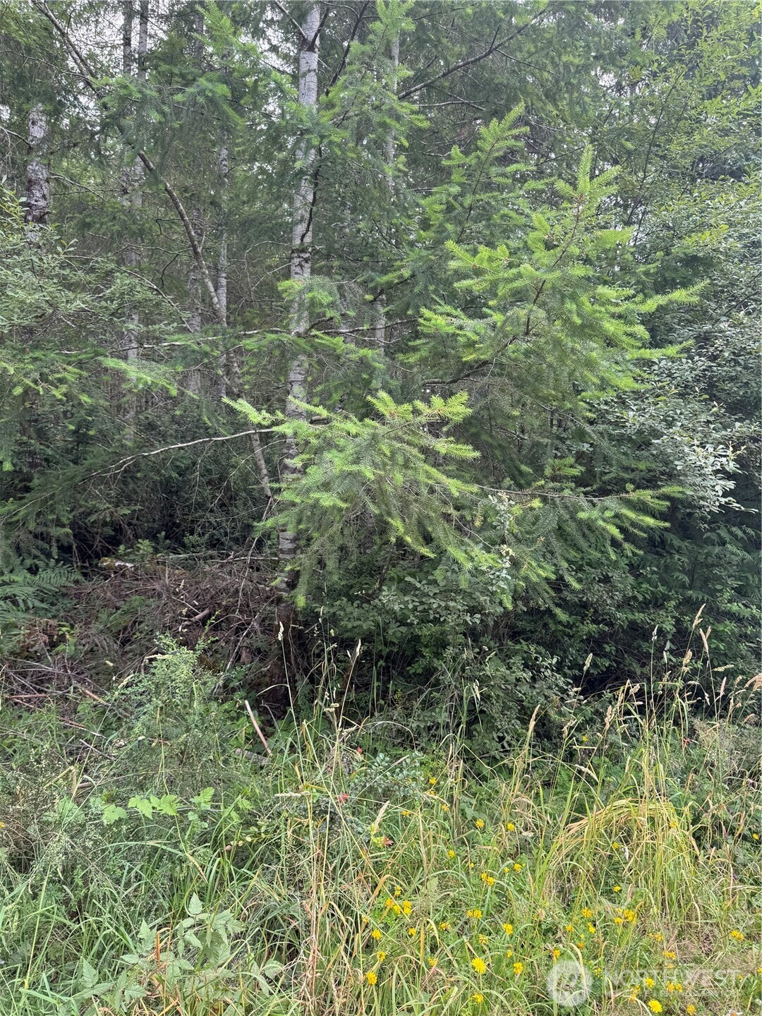 361 E Morris Creek Road