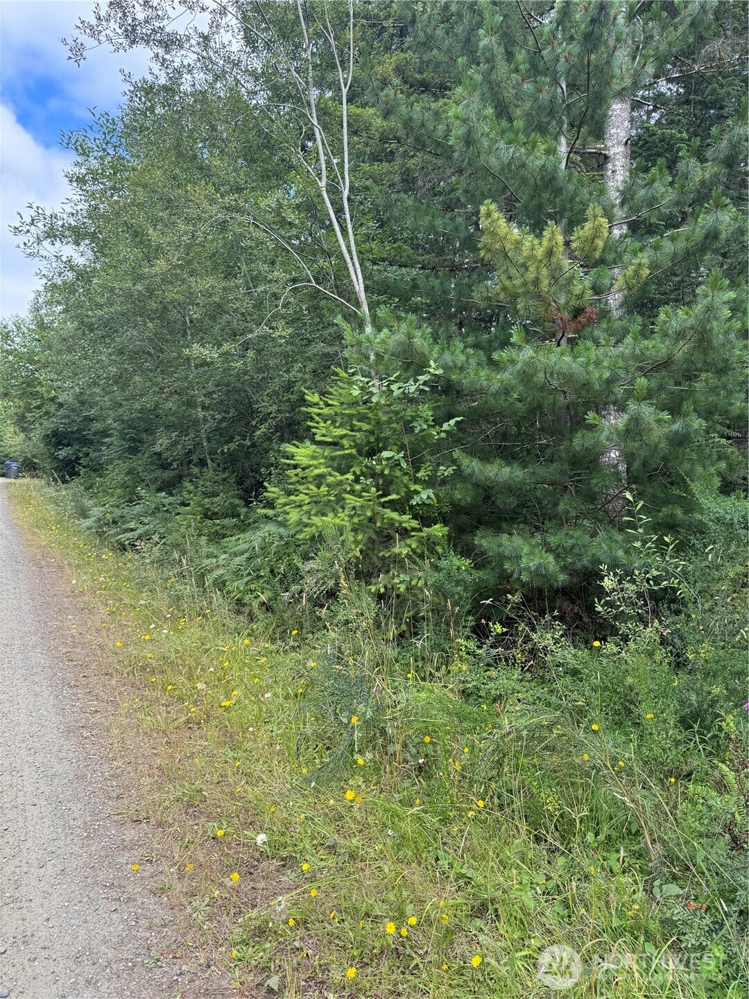 361 E Morris Creek Road