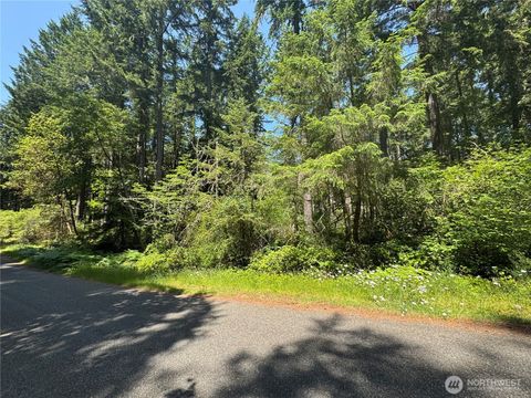 Photo of 11409 & 11413 Hillcrest Drive, Anderson Island, WA 98303 (MLS # 2532387)