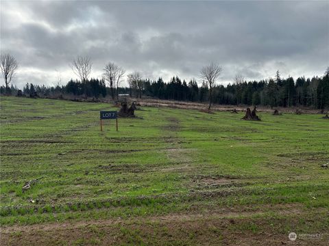 238 Ash Mountain Drive Castle Rock WA 98611