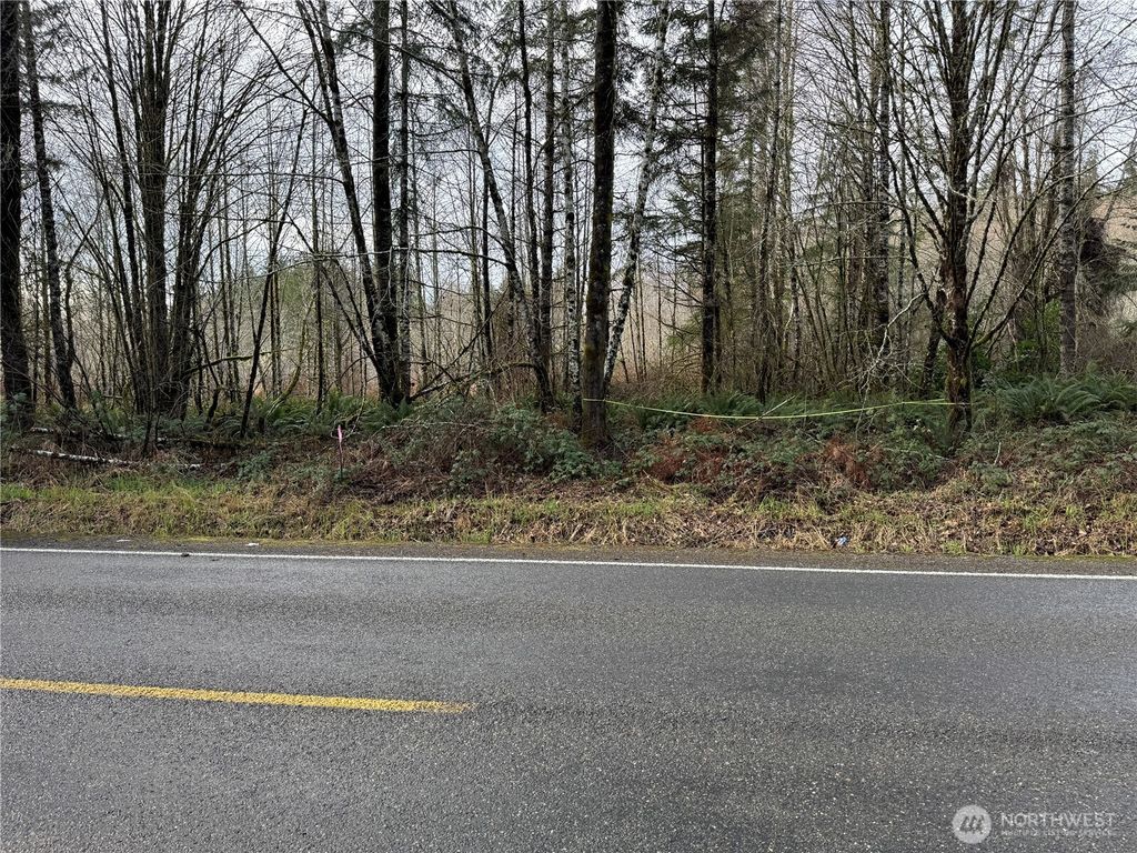Photo of 1359 Mox Chehalis Road, McCleary, WA 98557 (MLS # 2475484)