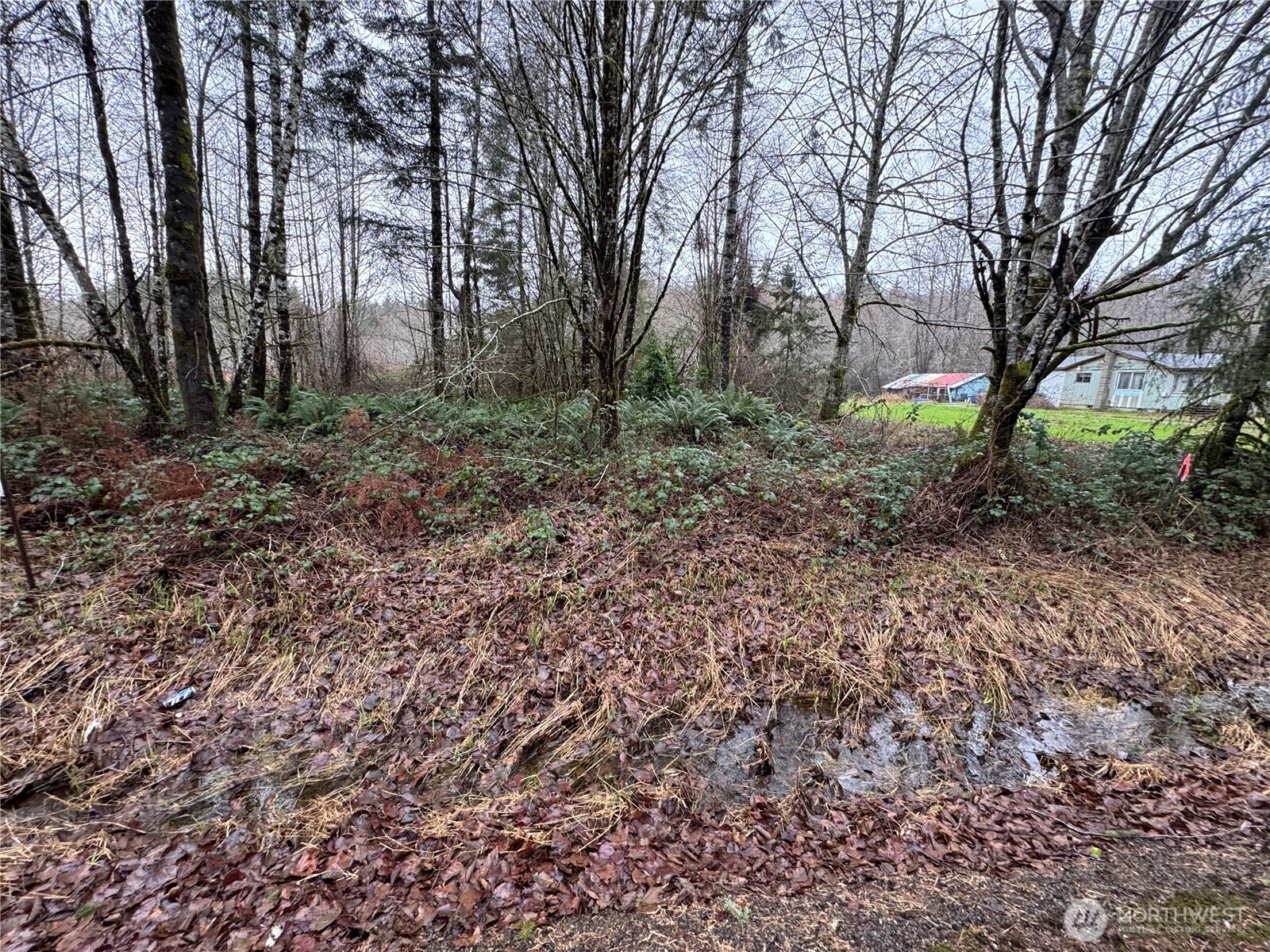 1359 Mox Chehalis Road