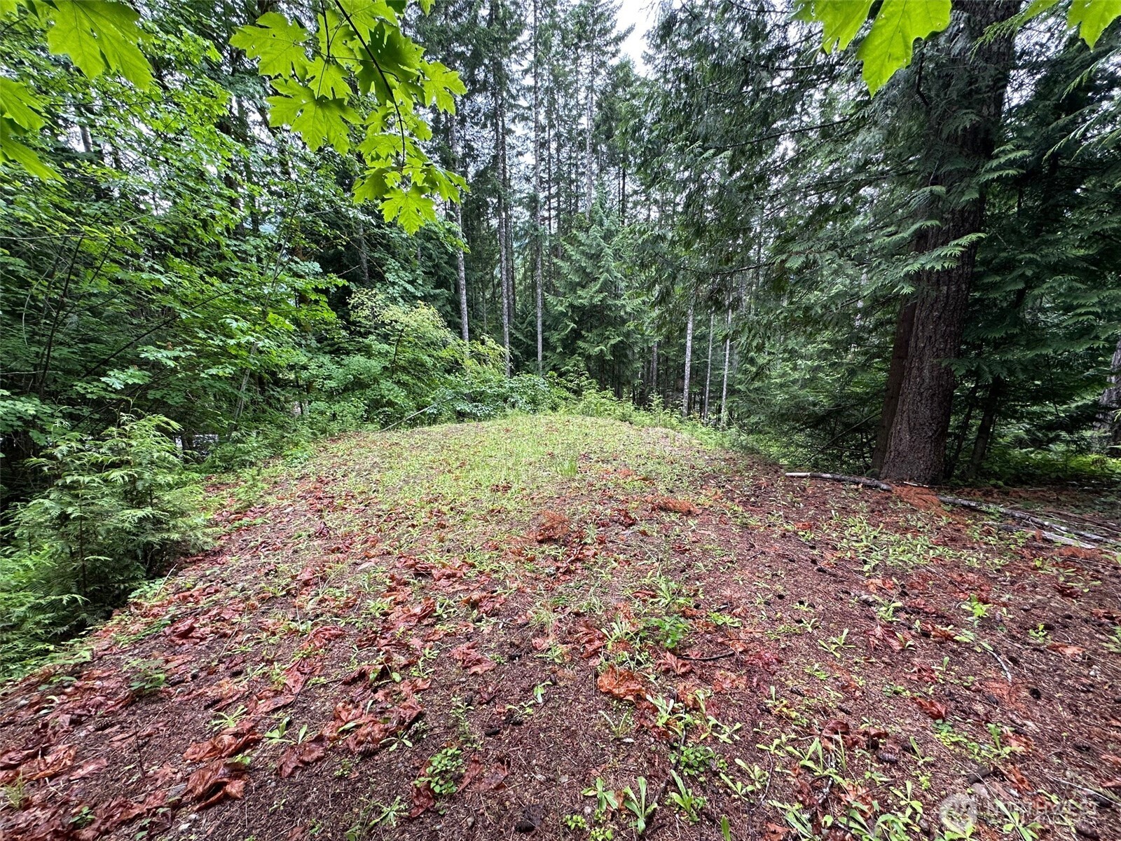 5156 N Lake Cushman Road