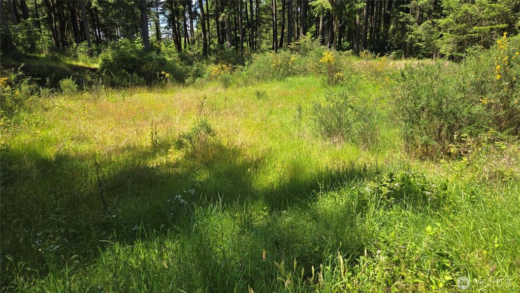 Photo of 2525 Willa Street NE, Olympia, WA 98516 (MLS # 2521607)
