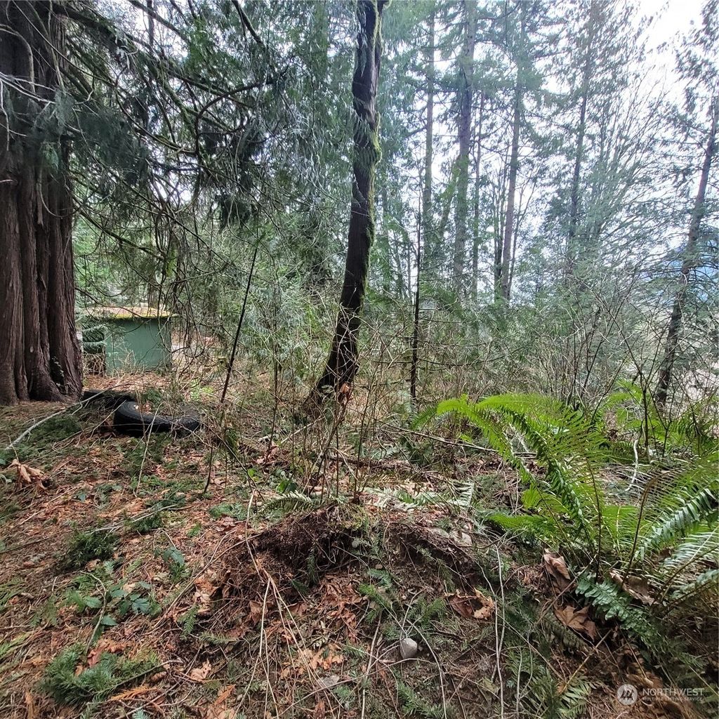 Photo of 43740 SE 152nd Street, North Bend, WA 98045 (MLS # 2027853)
