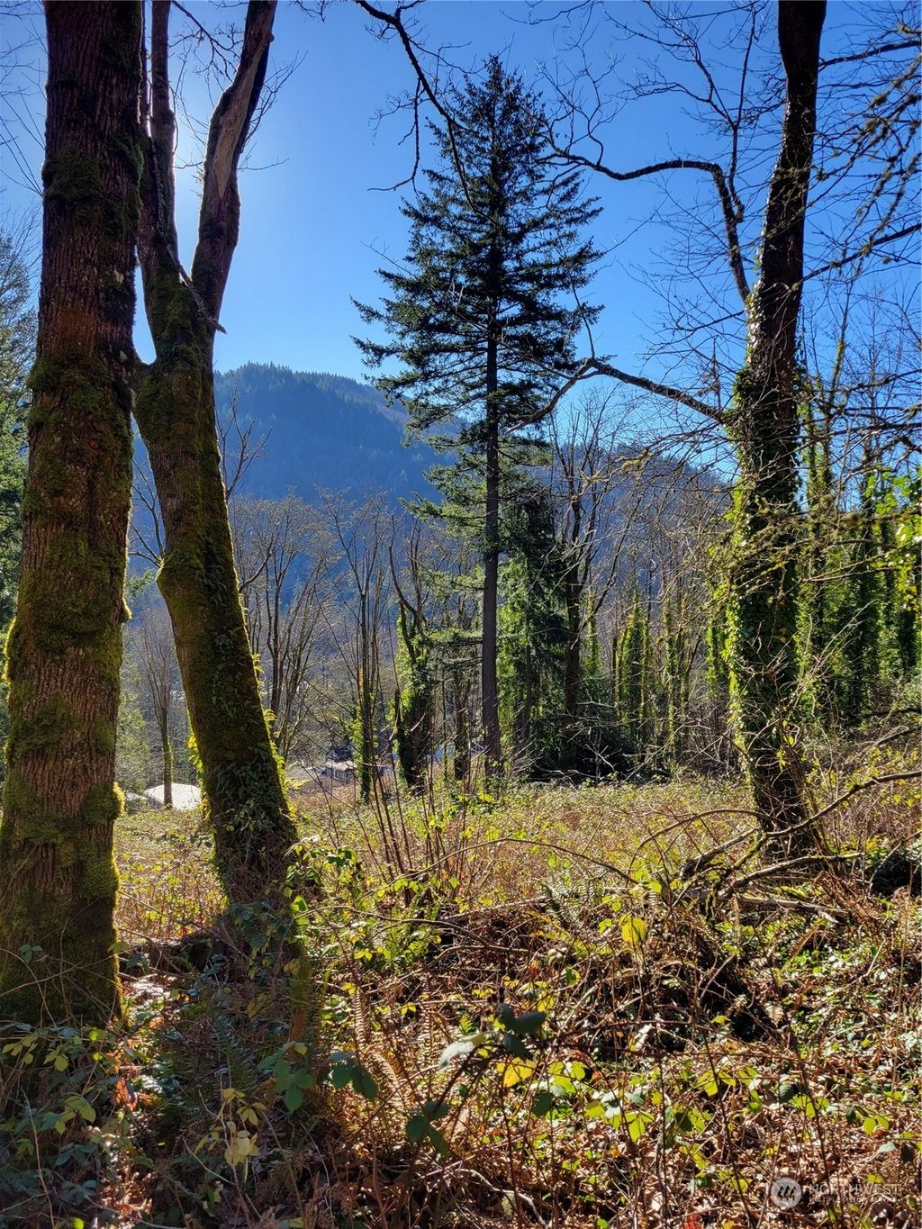 Photo of 75 XX 271st Avenue SE, Issaquah, WA 98027 (MLS # 2330383)