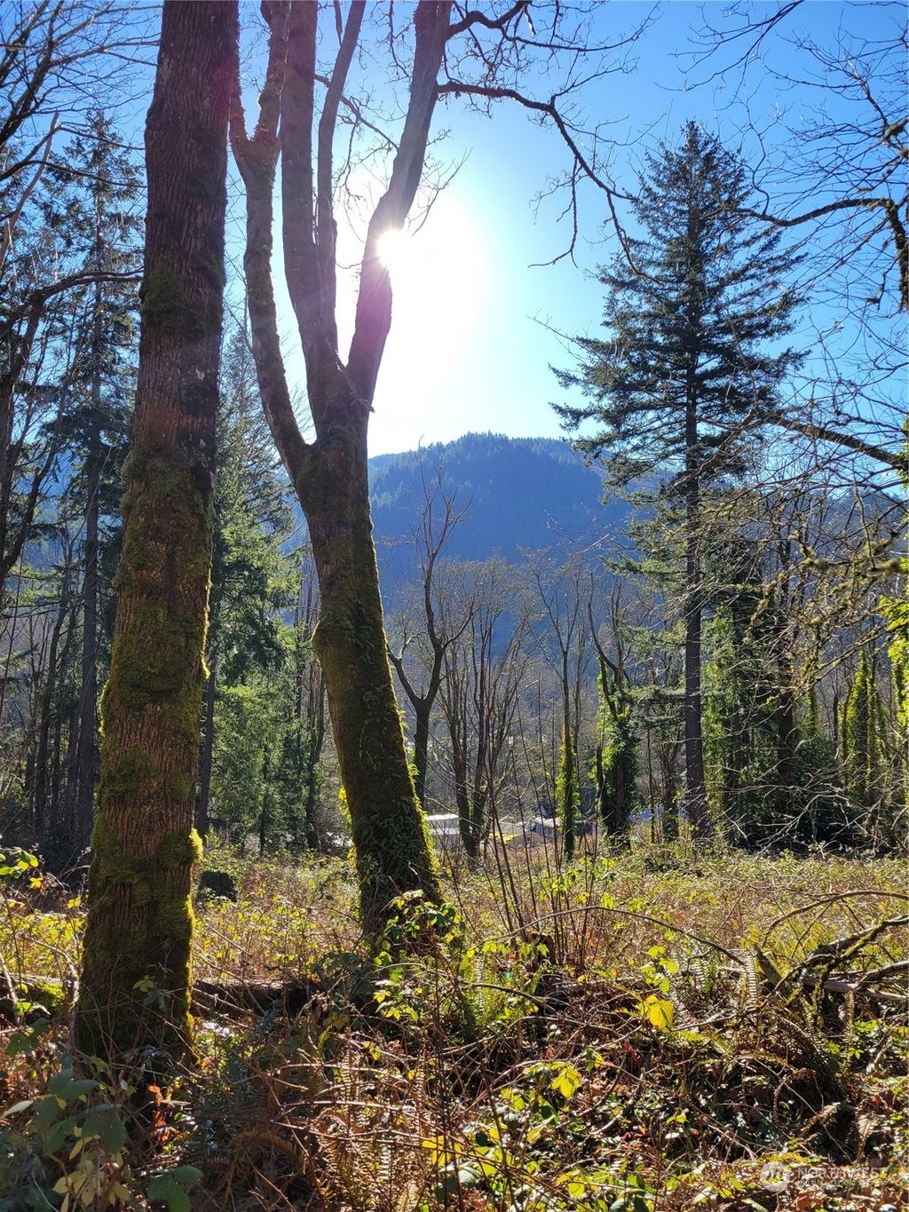 Photo of 75 XX 271st Avenue SE, Issaquah, WA 98027 (MLS # 2330383)