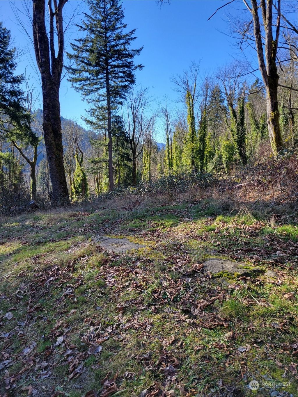 Photo of 75 XX 271st Avenue SE, Issaquah, WA 98027 (MLS # 2330383)