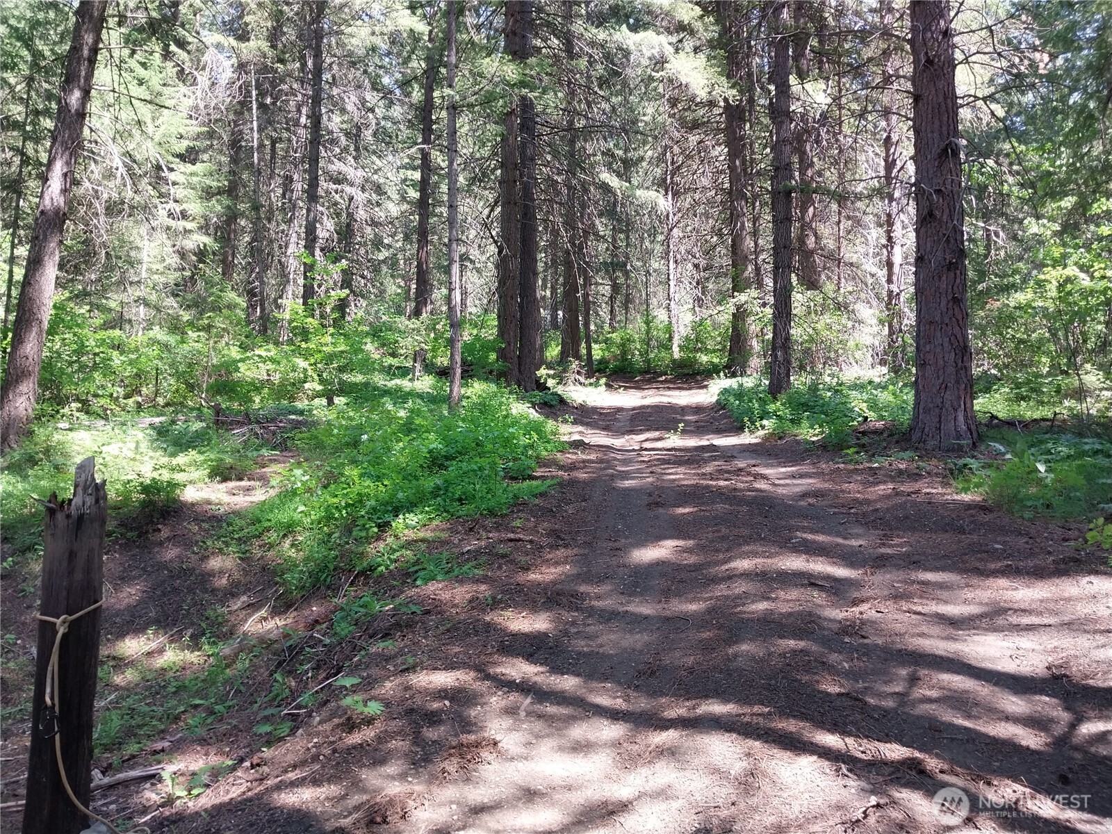 16991 Chumstick Highway