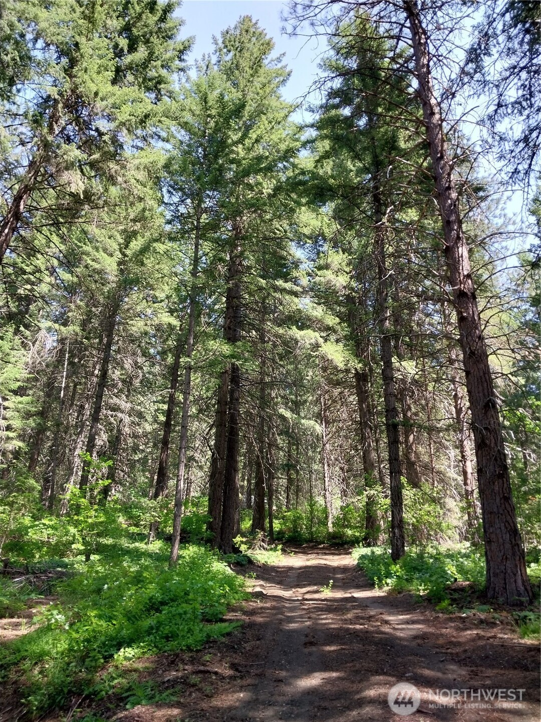 16991 Chumstick Highway