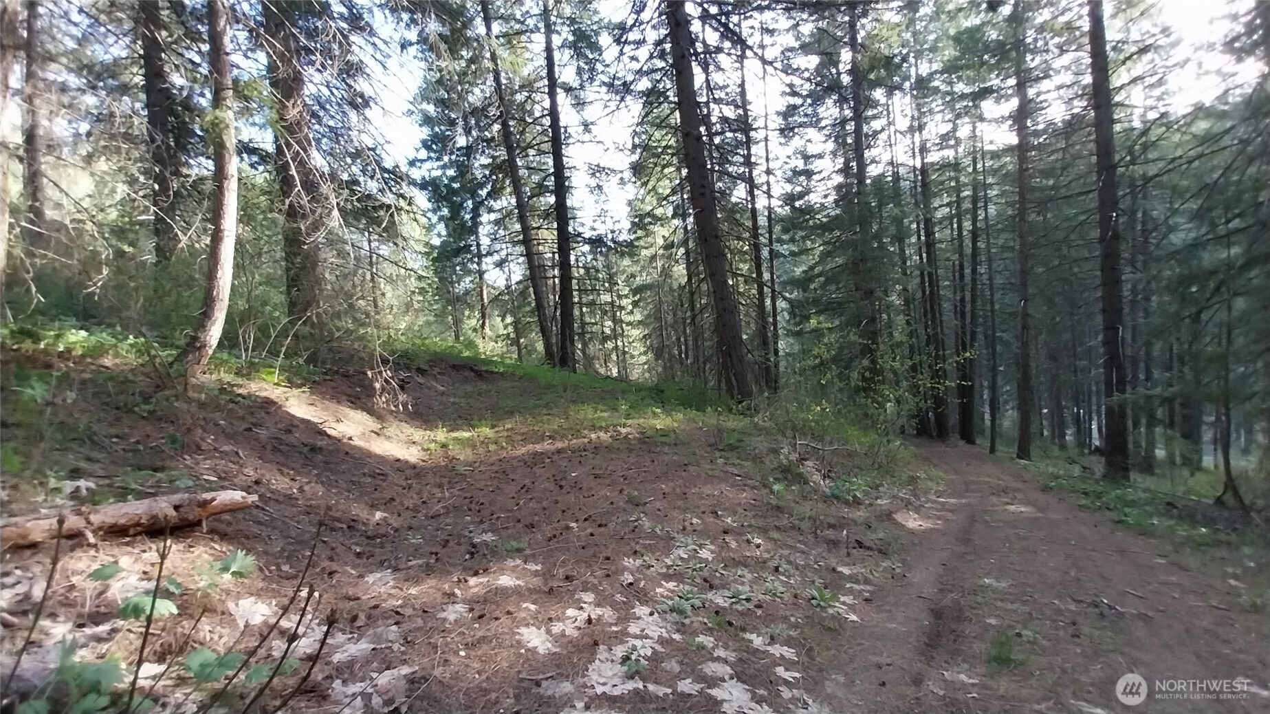 16991 Chumstick Highway