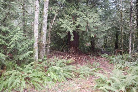 0 Lackey Road NW Vaughn WA 98394