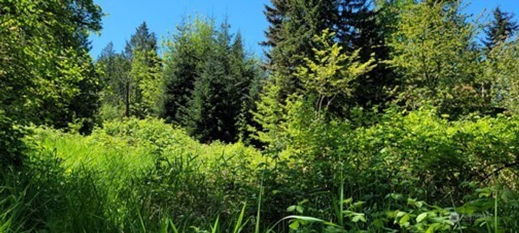Photo of 825 99th Avenue SE, Lake Stevens, WA 98258 (MLS # 2370471)