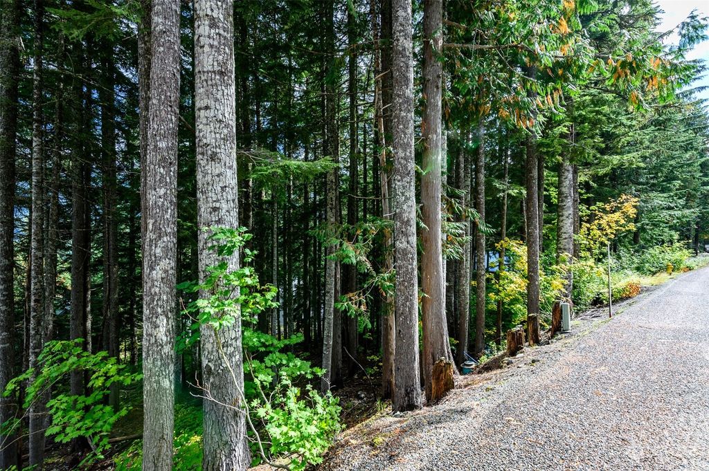 Photo of 8 XX Snoqualmie Drive, Snoqualmie Pass, WA 98068 (MLS # 2298081)