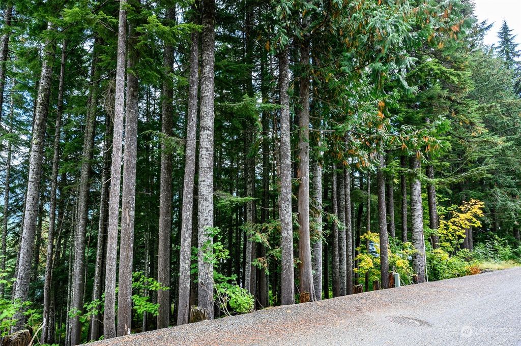 Photo of 8 XX Snoqualmie Drive, Snoqualmie Pass, WA 98068 (MLS # 2298081)