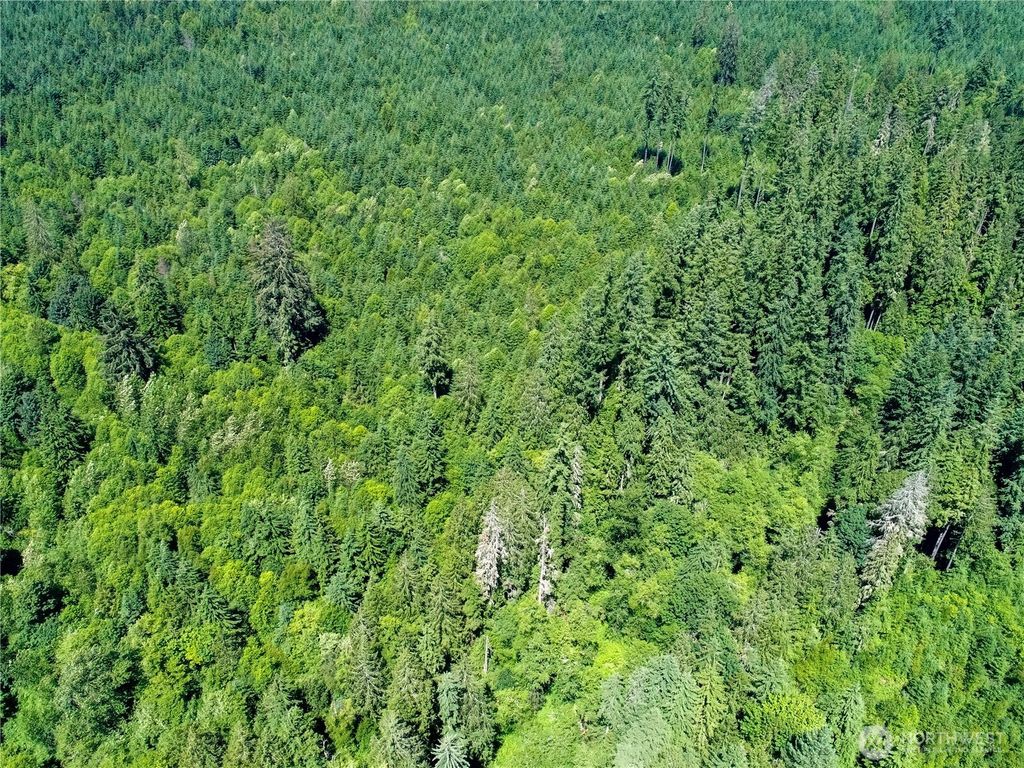 Photo of 0 300705-002-011-00, WA, Snohomi, Granite Falls, WA 98252 (MLS # 2404899)