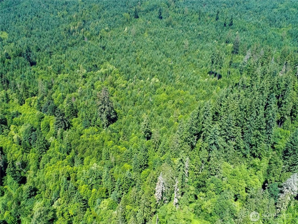 Photo of 0 300705-002-011-00, WA, Snohomi, Granite Falls, WA 98252 (MLS # 2404899)