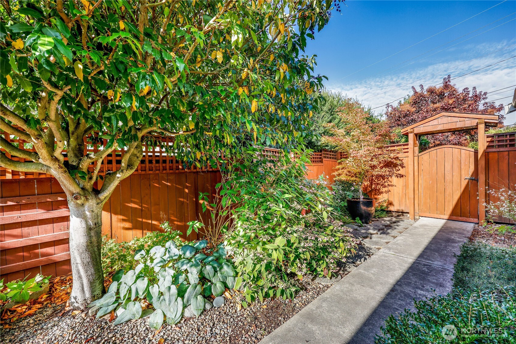 1815 Lawrence Street