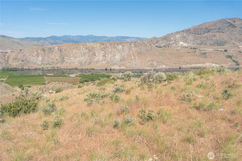 0 Tract 6 McNeil Canyon Rd Orondo WA 98816