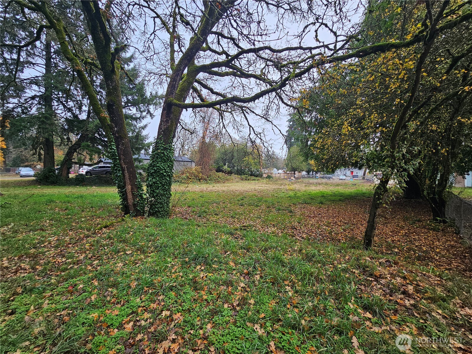 14507 Woodlawn Street SW