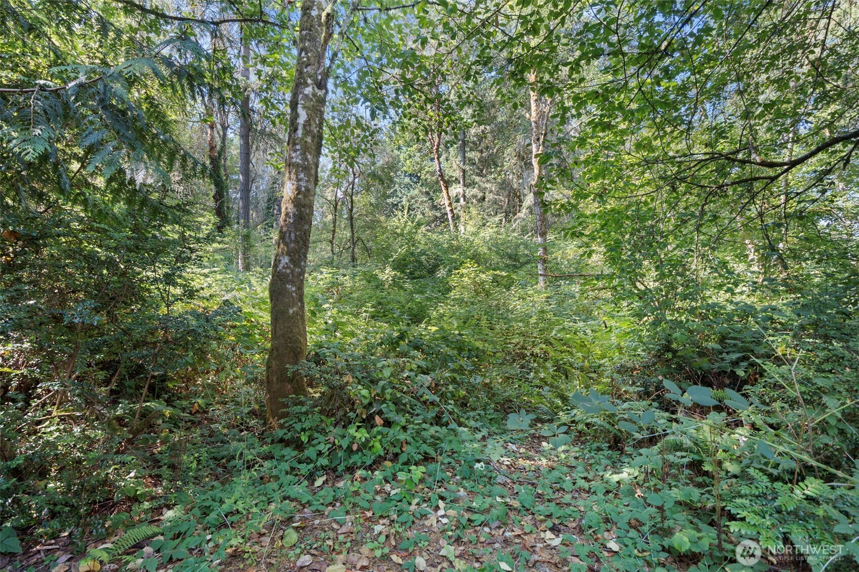 18220 70th Street Ct SW