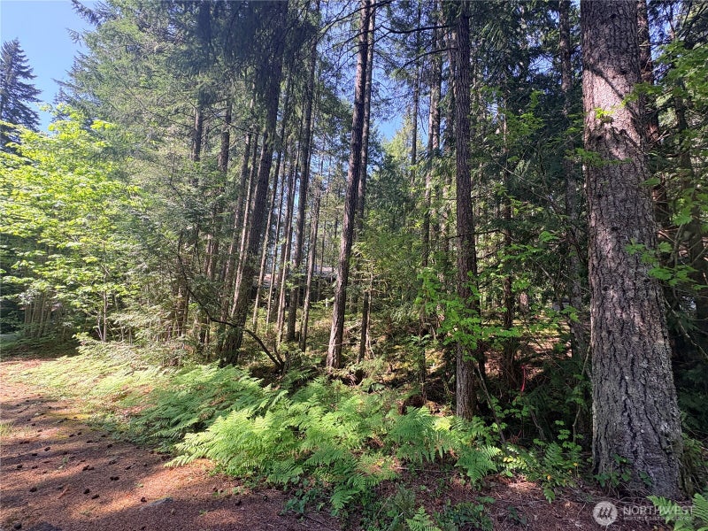 30 N Skokomish Drive