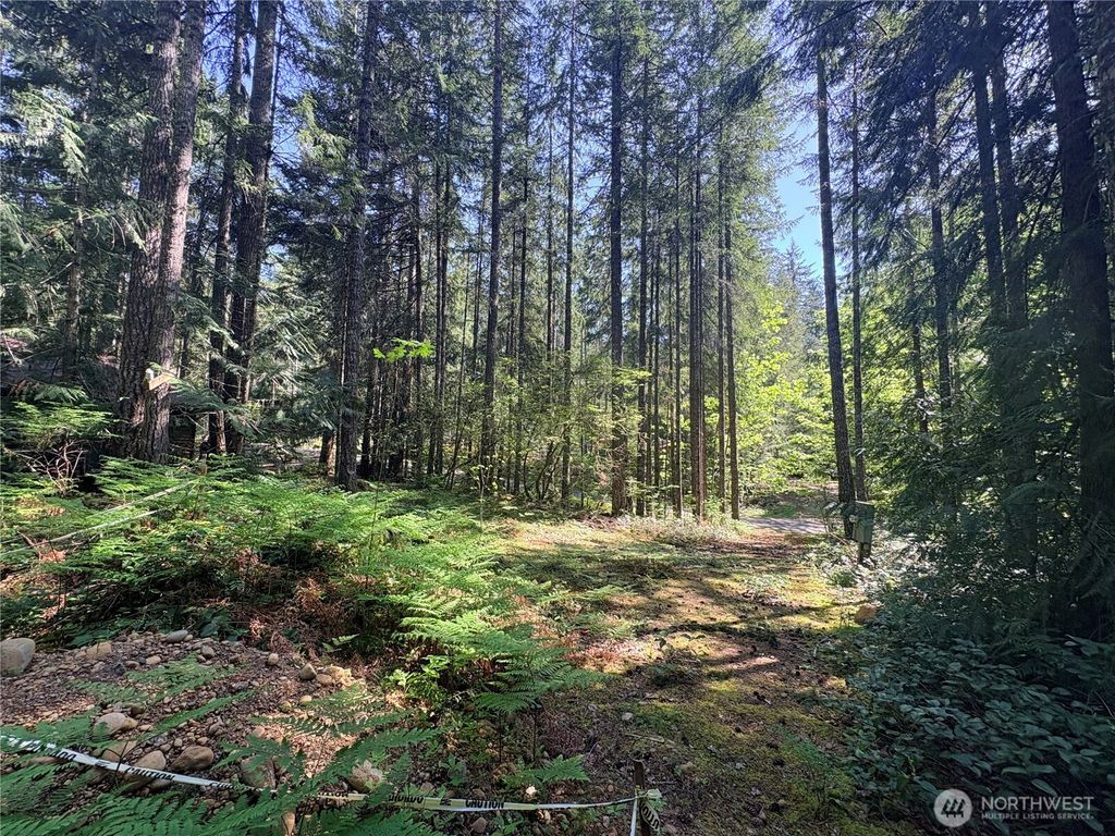 Photo of 30 N Skokomish Drive, Hoodsport, WA 98548 (MLS # 2518351)