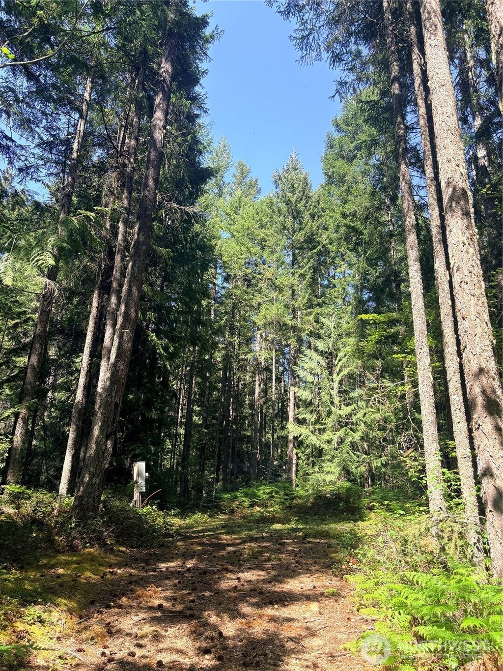 Photo of 30 N Skokomish Drive, Hoodsport, WA 98548 (MLS # 2518351)