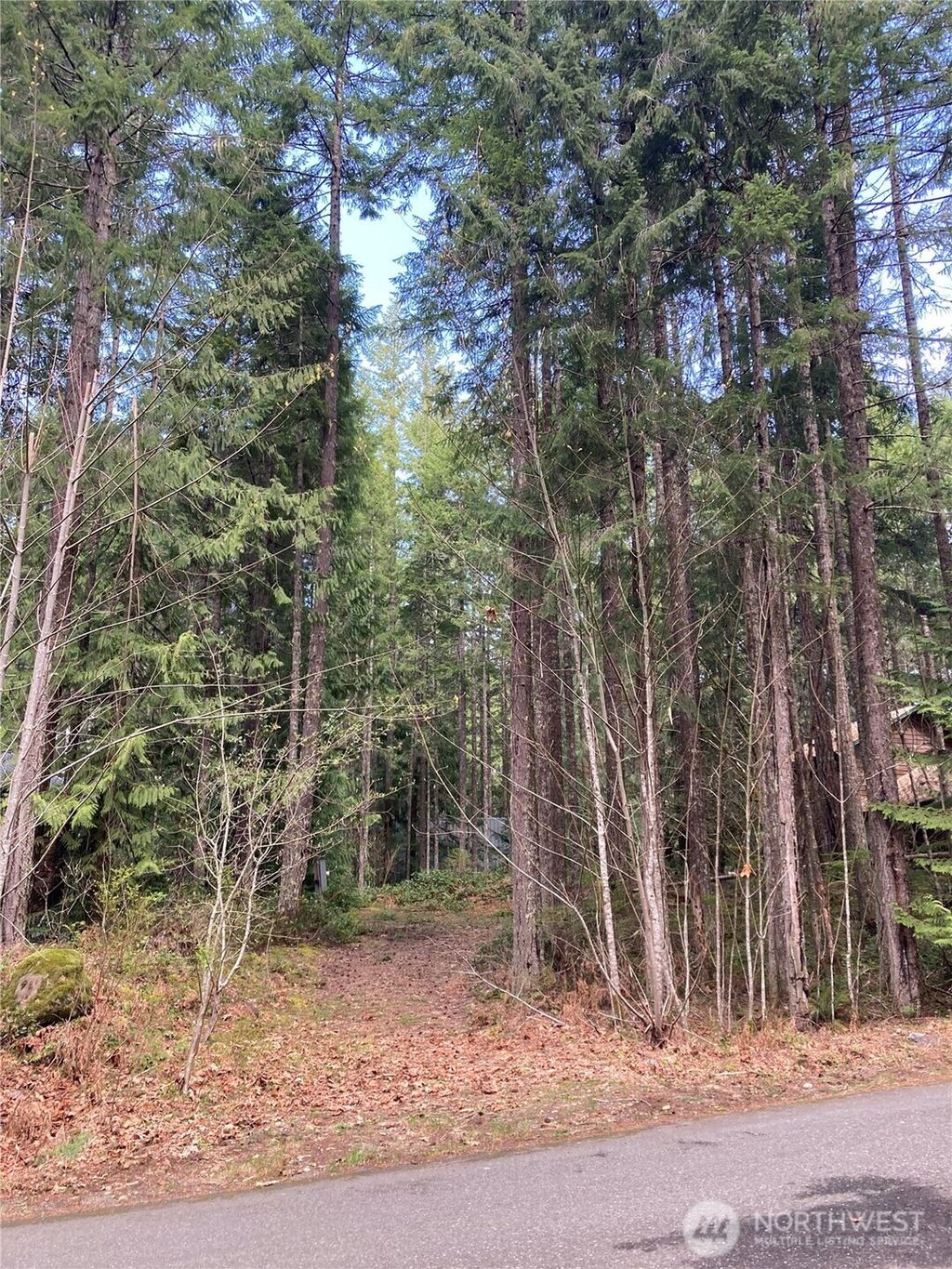 Photo of 30 N Skokomish Drive, Hoodsport, WA 98548 (MLS # 2518351)