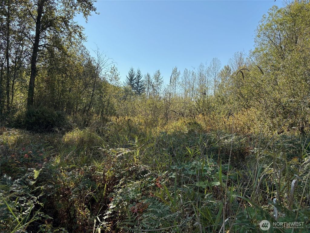 Photo of 320 XX Railroad Avenue, Black Diamond, WA 98010 (MLS # 2441725)