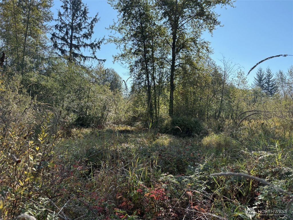 Photo of 320 XX Railroad Avenue, Black Diamond, WA 98010 (MLS # 2441725)