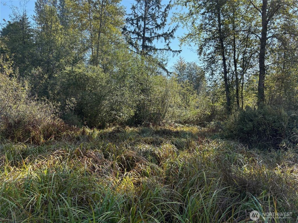 Photo of 320 XX Railroad Avenue, Black Diamond, WA 98010 (MLS # 2441725)