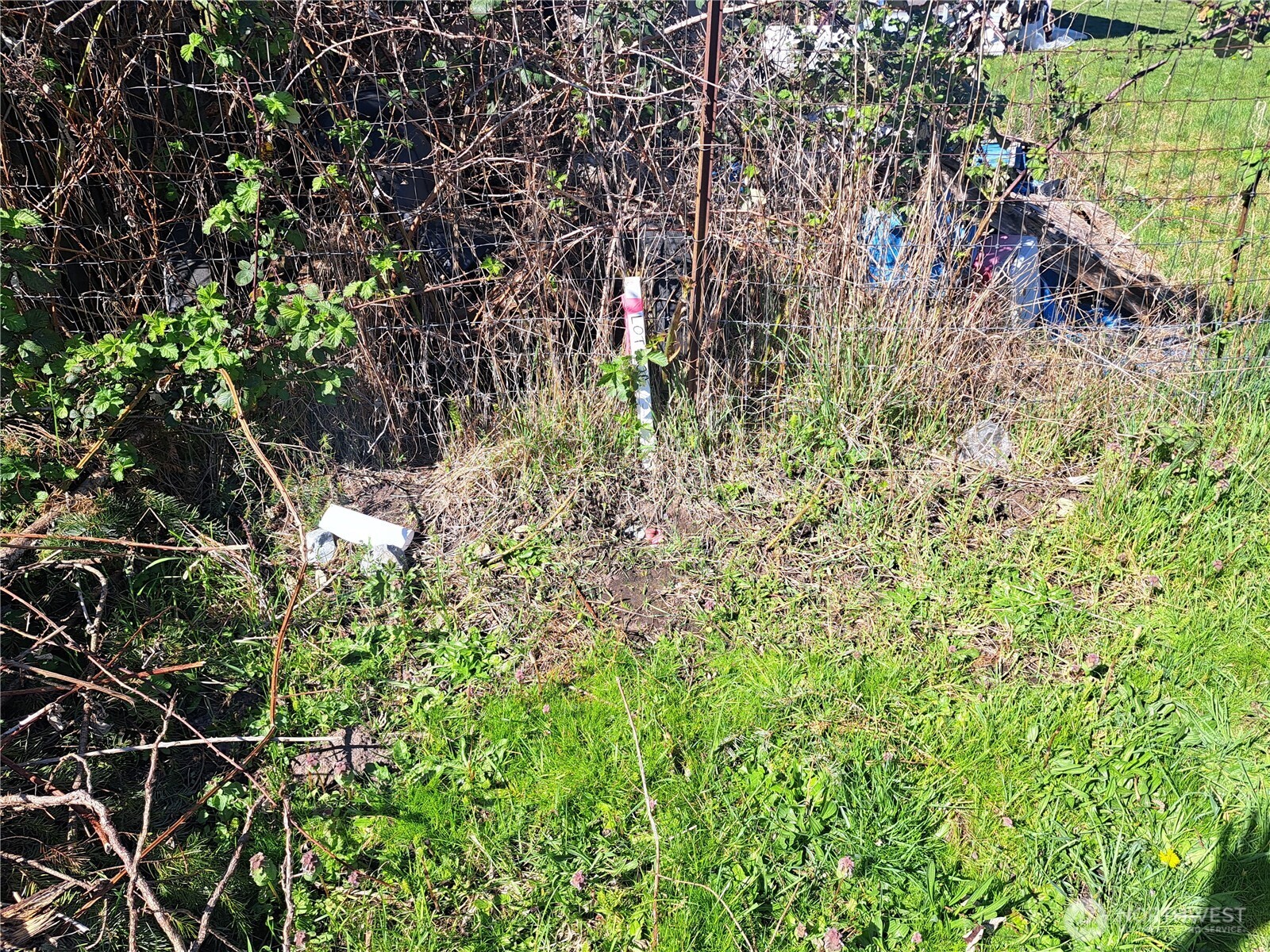 1105 W Pioneer Avenue